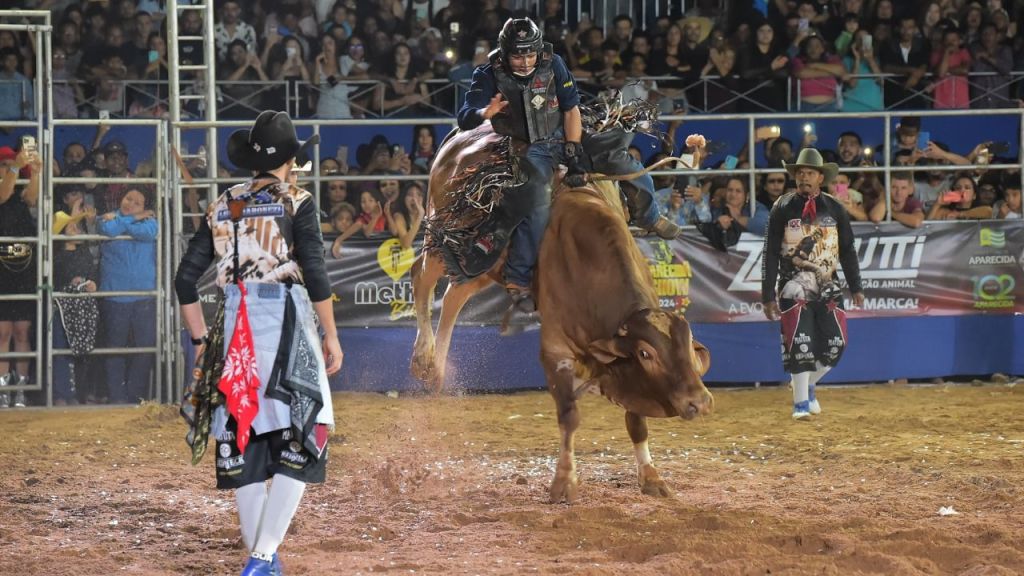Aparecida é Show 2024 arrecada mais de 300 toneladas de alimentos em cinco dias de&nbsp;evento
